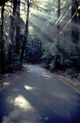 [radiī sōlis, in Californiā]